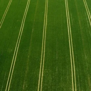 Pokrajina z uradne strani GreenGrow